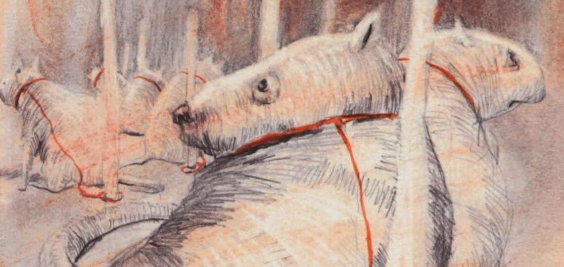 Uršuľa Kovalyk: Čisté Zviera