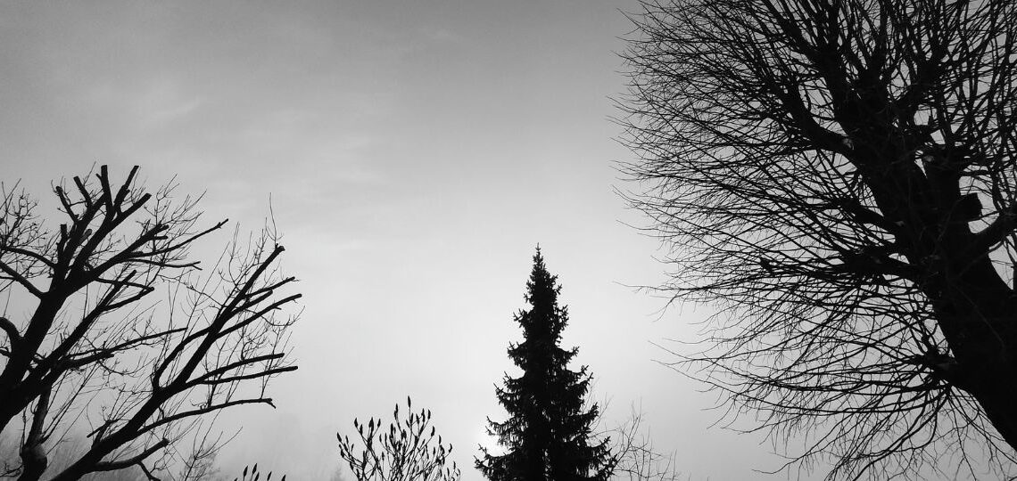 Oľga Gluštíková: Dialekty, šumy. Telá a kontexty