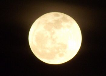 Patrícia Gabrišová: Ani smrť ich nerozdelí …