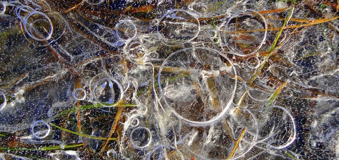 Katarína Džunková: Pokoj v krajine