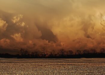 Jozef Palaščák: Ledroz