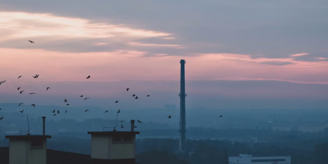 Matúš Kolesár: Večerné správy