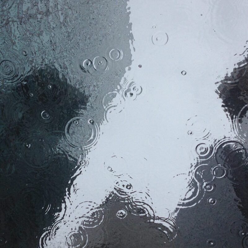 pexels-puddle-1853607