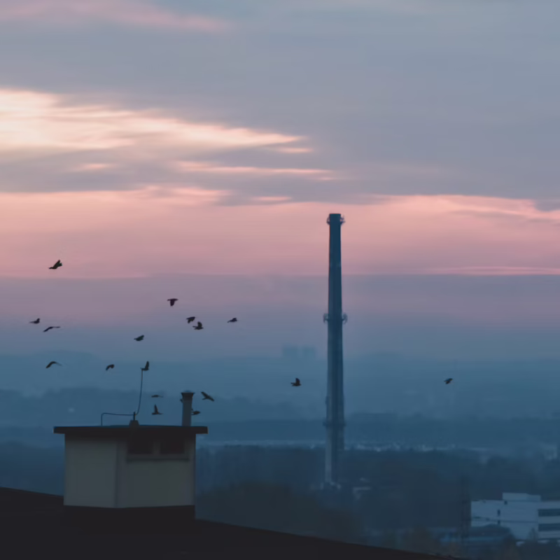 photo-1604041324989-96b7716af21e