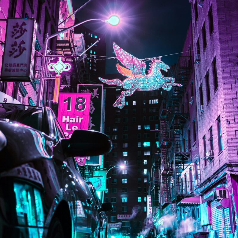 wilmer-martinez-8WR86Z_mLms-unsplash